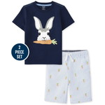 Gymboree / ジンボリー Boys Embroidered Bunny Top And Carrot Seersucker Shorts Set